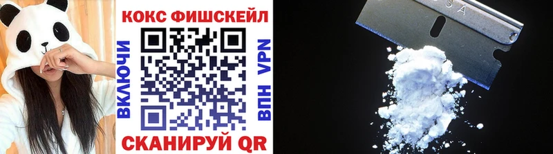 Как найти наркотики Темников COCAIN  Псилоцибиновые грибы  A PVP  МАРИХУАНА  Меф мяу мяу 