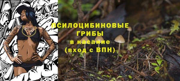 дживик Балабаново